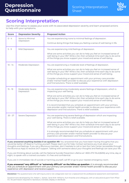 Mental Health Resource: Depression Self-Assessment Questionnaire - Blunovus