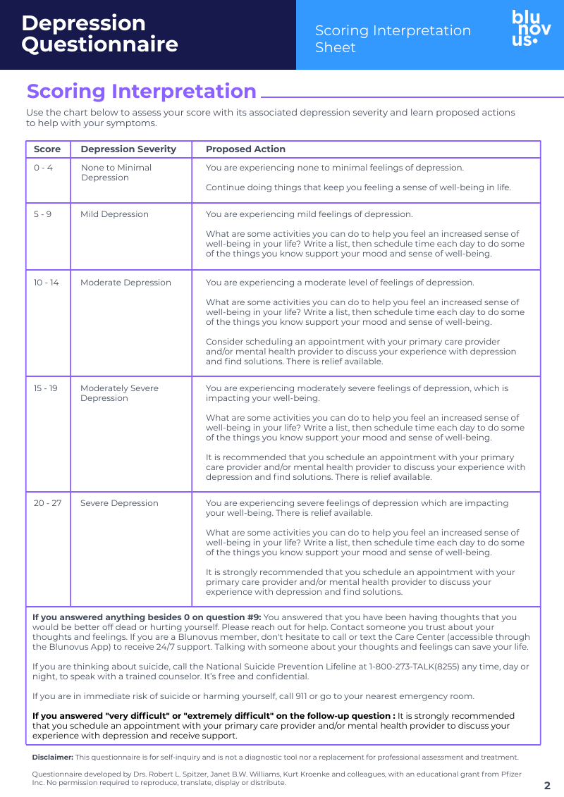 Depression Questionnaire Pg2