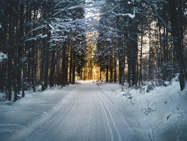 Snow covered road through a winter forest