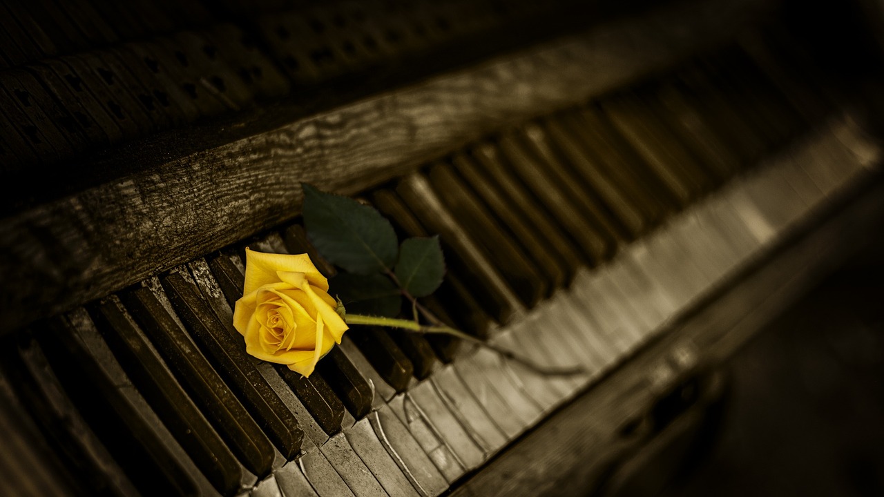 Yellow rose on a piano